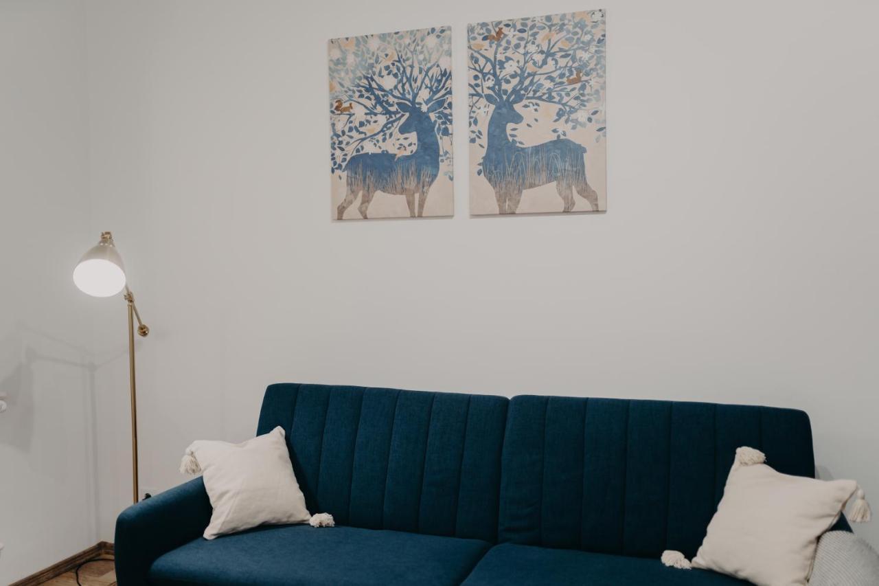 Apartamentul Albastru Vatra Dornei Zewnętrze zdjęcie
