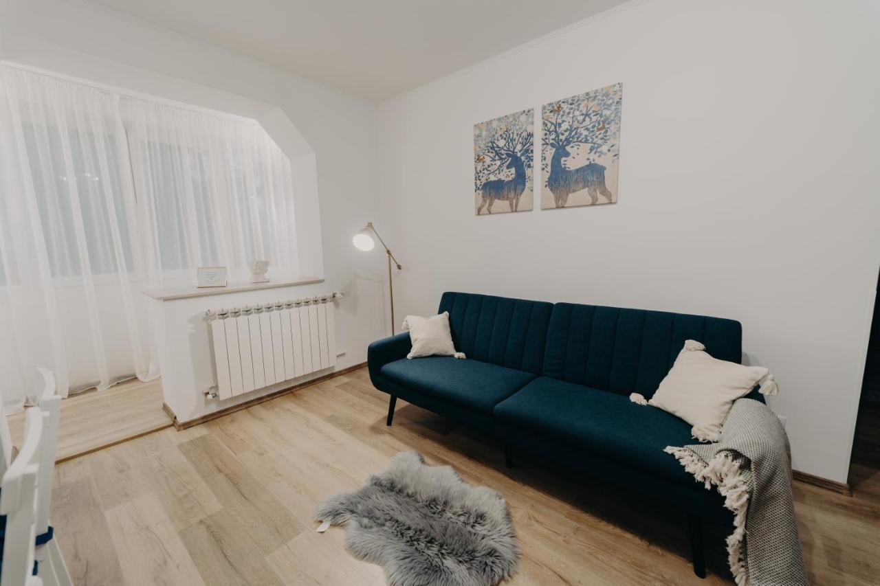 Apartamentul Albastru Vatra Dornei Zewnętrze zdjęcie