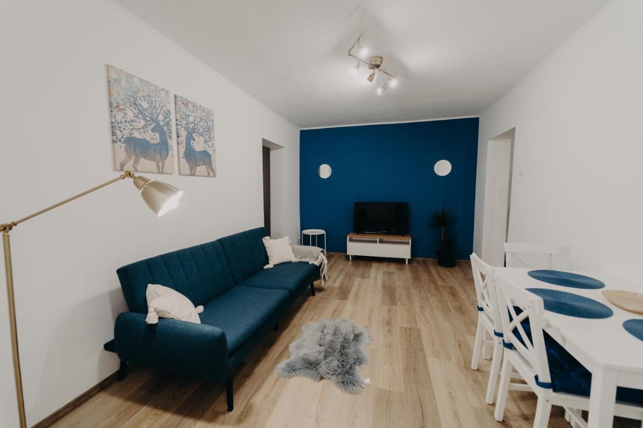 Apartamentul Albastru Vatra Dornei Zewnętrze zdjęcie